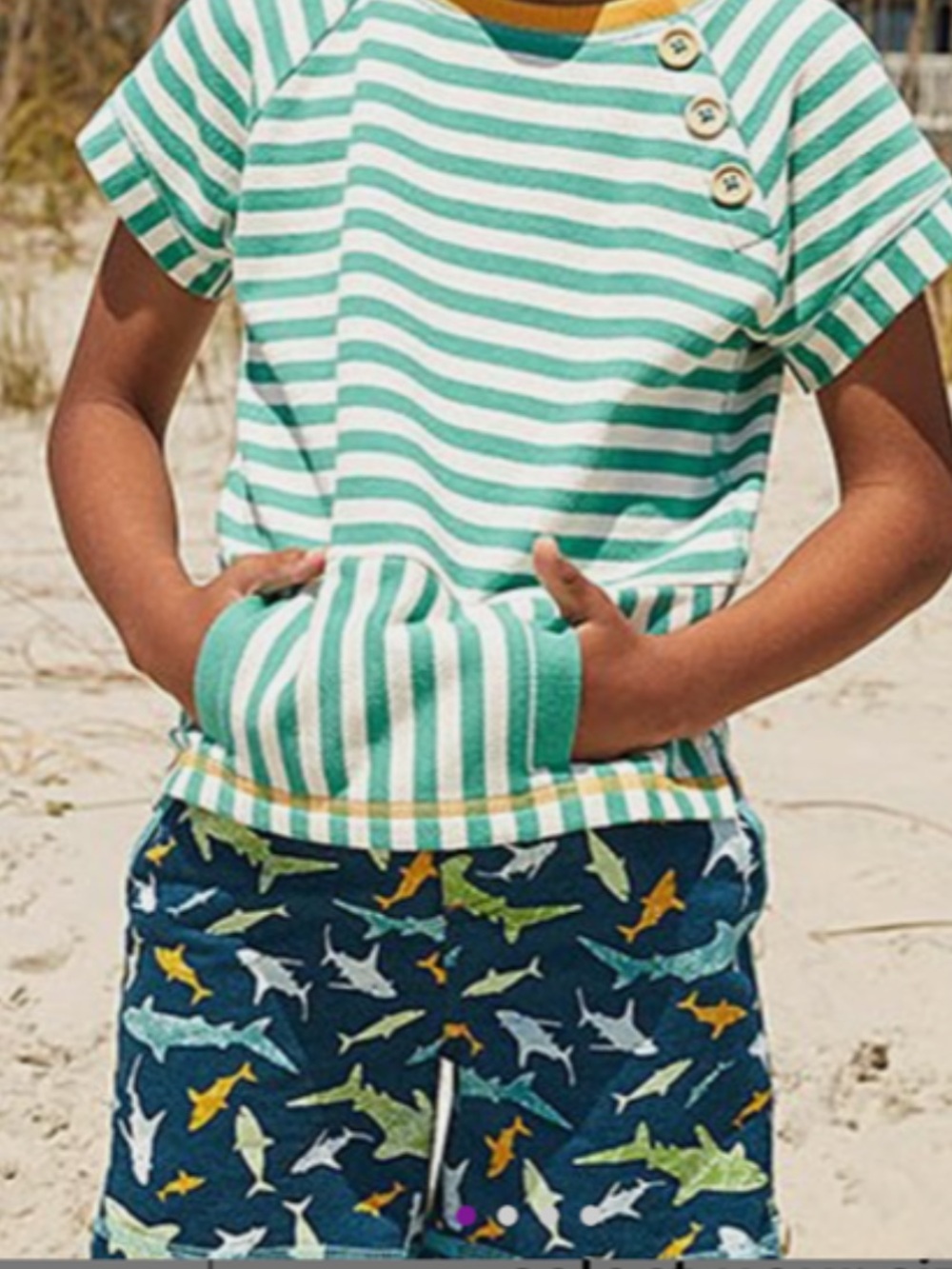 Matilda Jane Shark Print Shorts